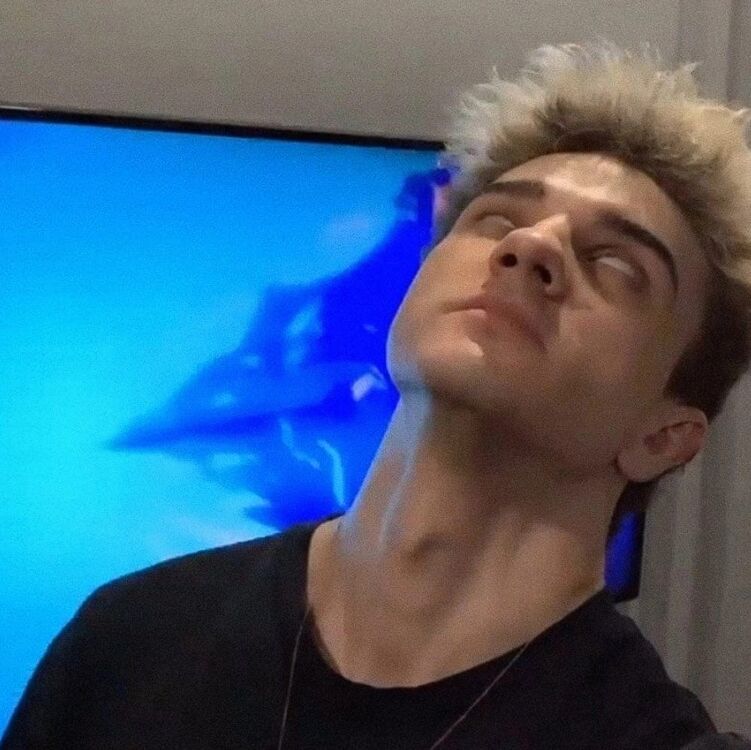  44659747  Stefains, 33 ,    -