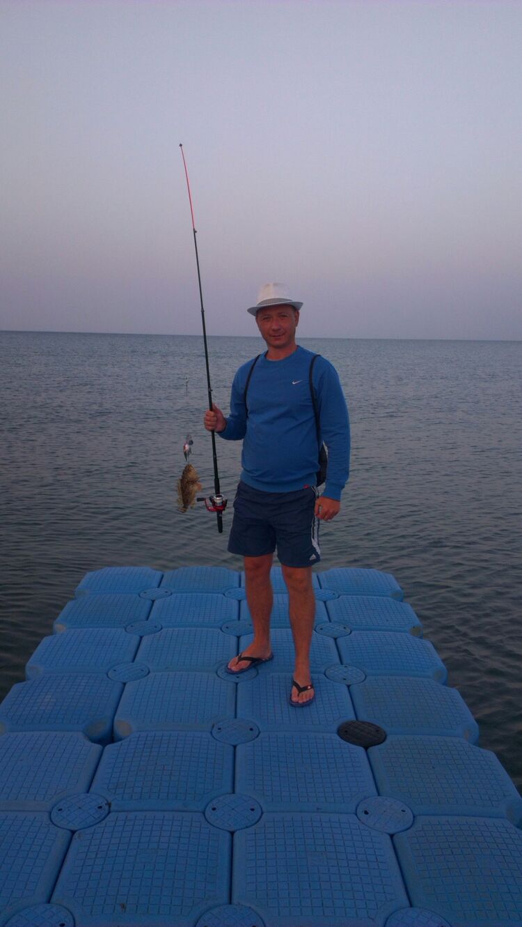 ���� 29344657 ������� ����, 43 ����, ���� ���������� � ������