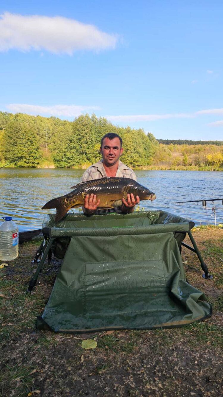  ,   , 38 ,   c 