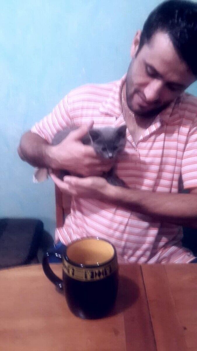 ���������� ������, ���� ������� ����, 41 ���, ������������ ��� ������, ����� � ���������, c�������� ���������