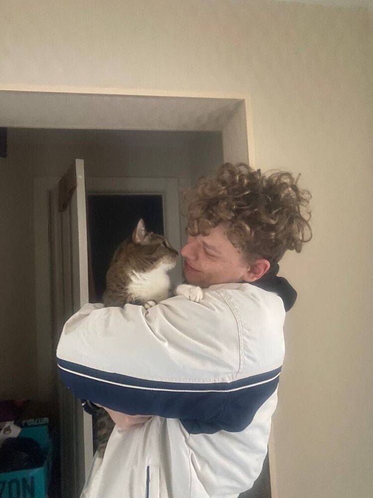 ���������� ������, ���� ����� Ffd, 18 ���, ������������ ��� ������, ����� � ���������, c�������� ���������, ���������