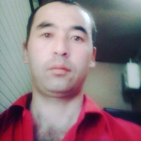  48336697  , 42 ,    