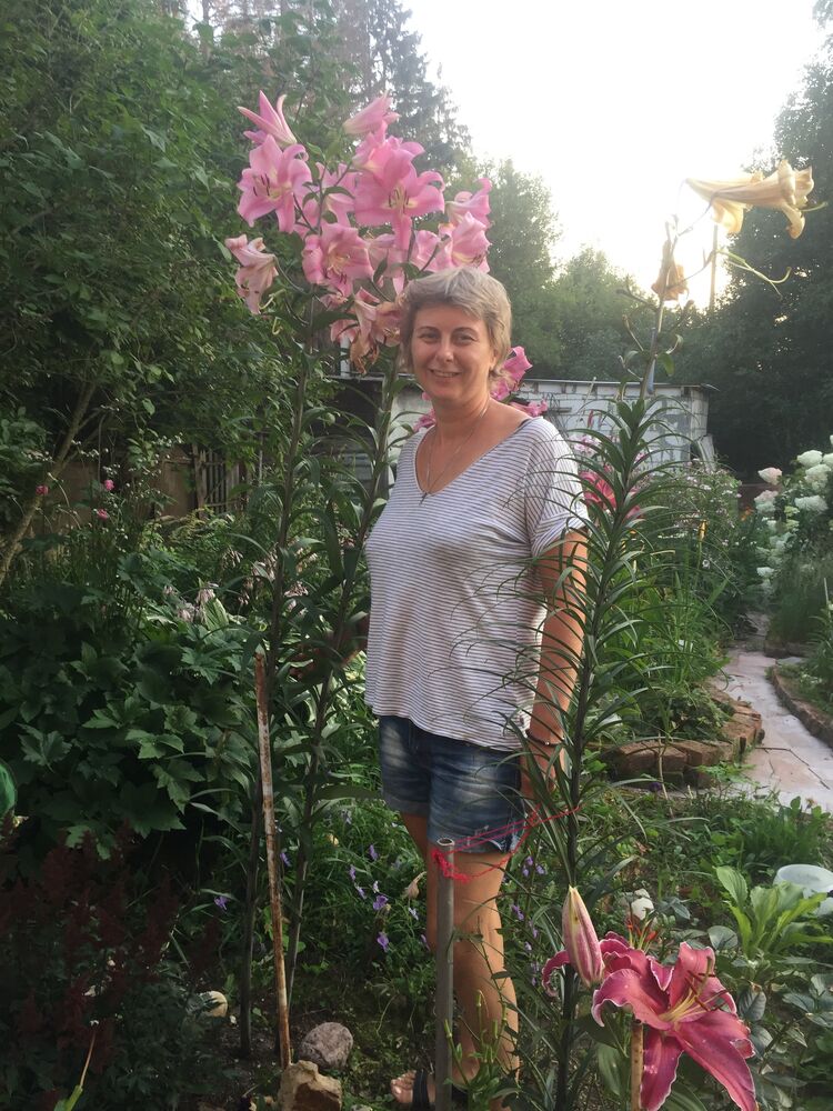 ���� 33499647 ������� ���������, 45 ���, ���� ���������� � ������