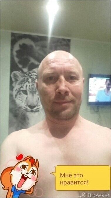  8460577  , 51 ,    -