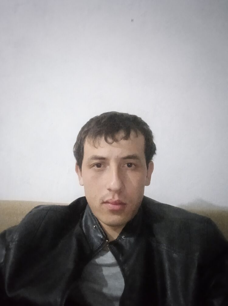  31033157  , 28 ,    