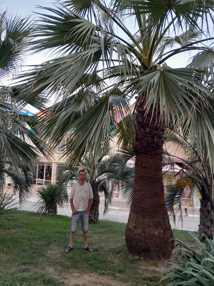  ,   , 54 ,   ,   , c 