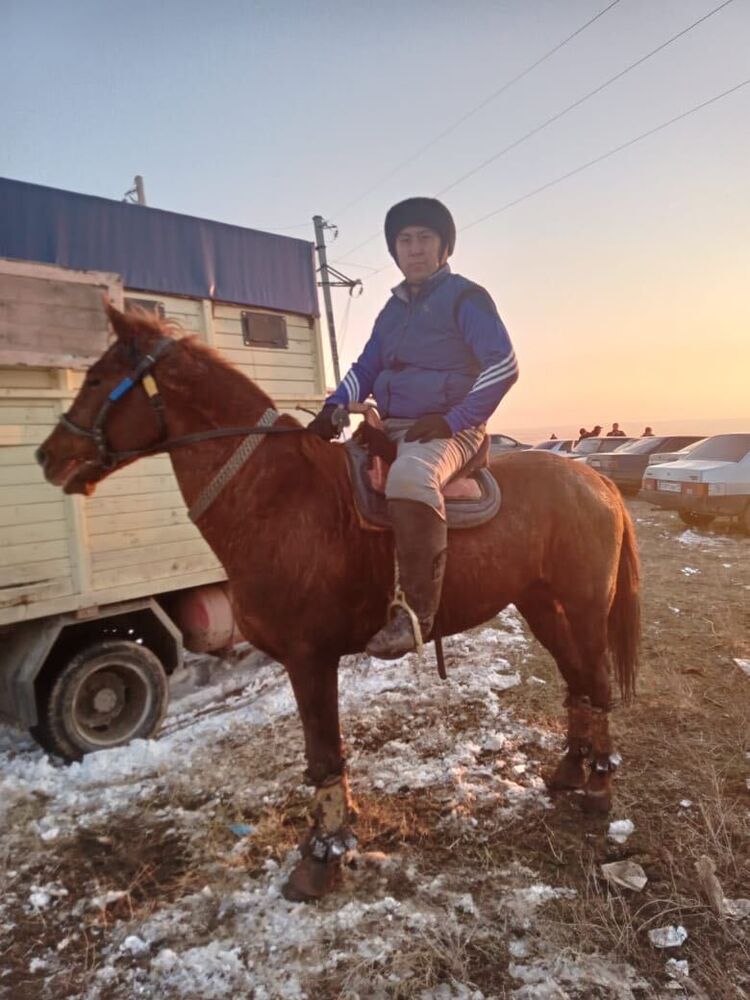 ���������� �������, ���� ������� �����, 41 ���, ������������ ��� ������, ����� � ���������, c�������� ���������