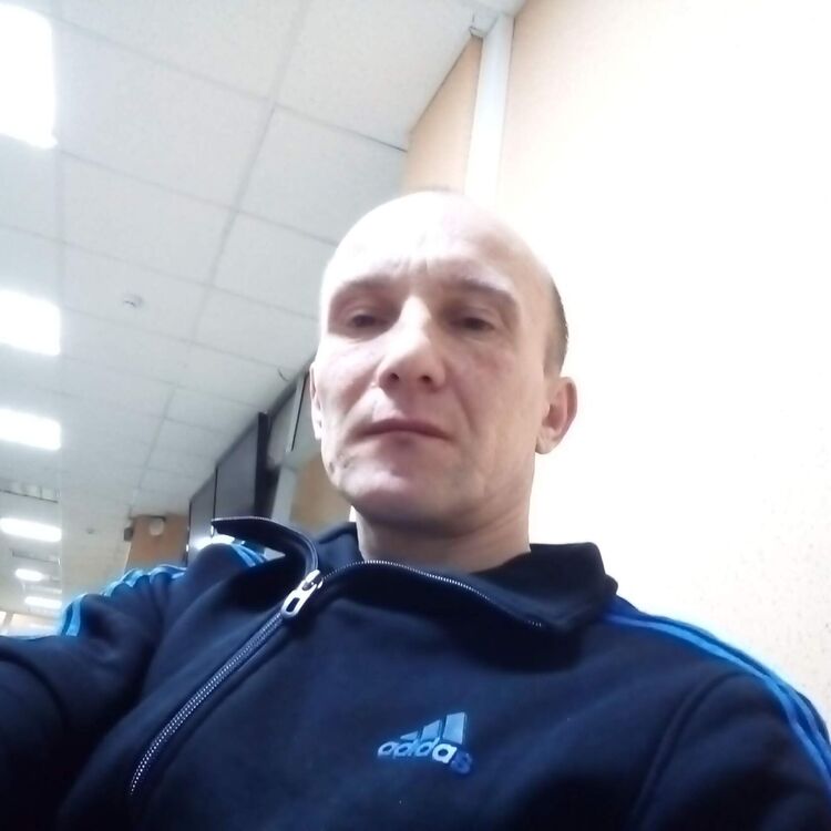 ���� 33530537 ������� �������, 42 ����, ���� ���������� � �����������