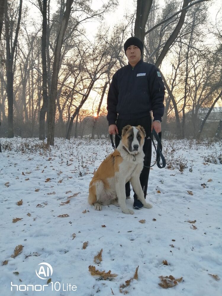 ���� 18425207 ������� ����, 35 ���, ���� ���������� � �������