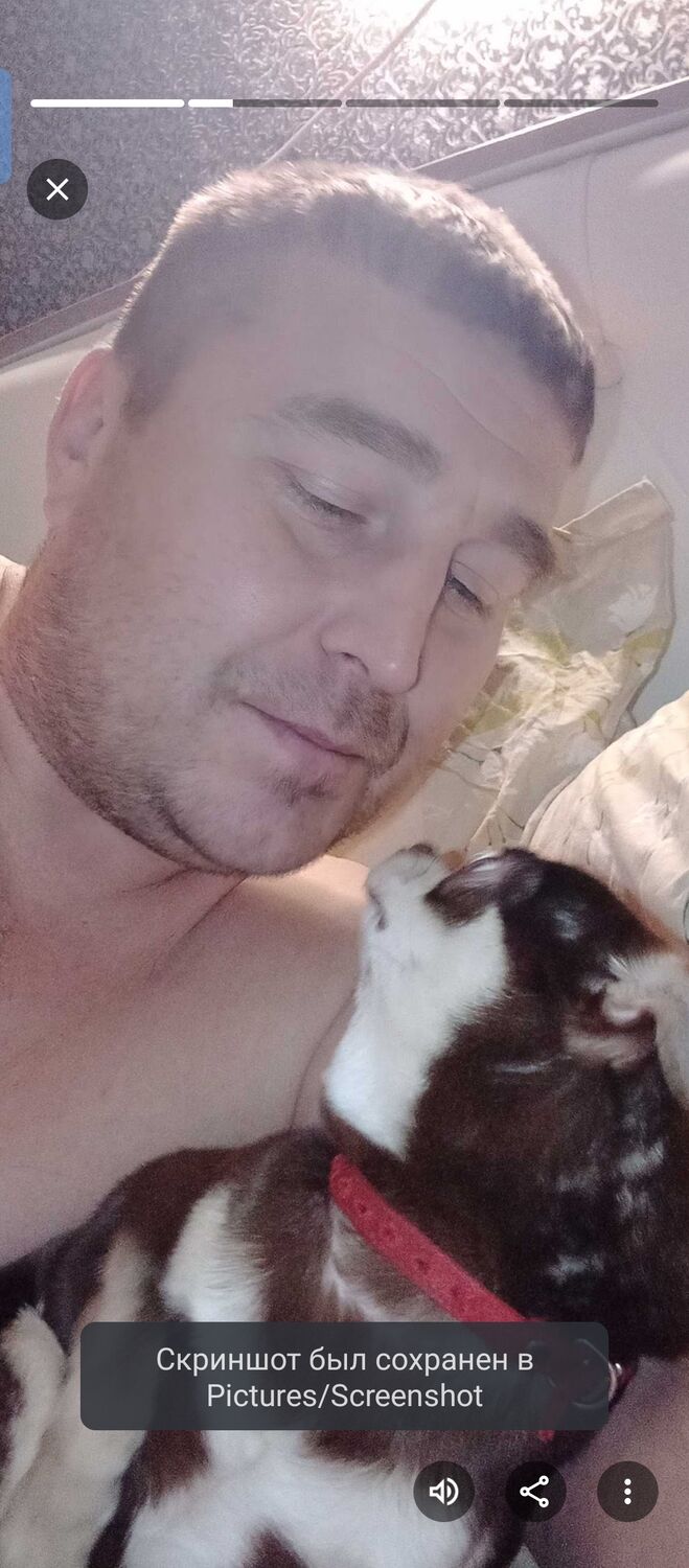 ���������� �����������, ���� ������� �������, 44 ����, ������������ ��� c�������� ���������, ���������