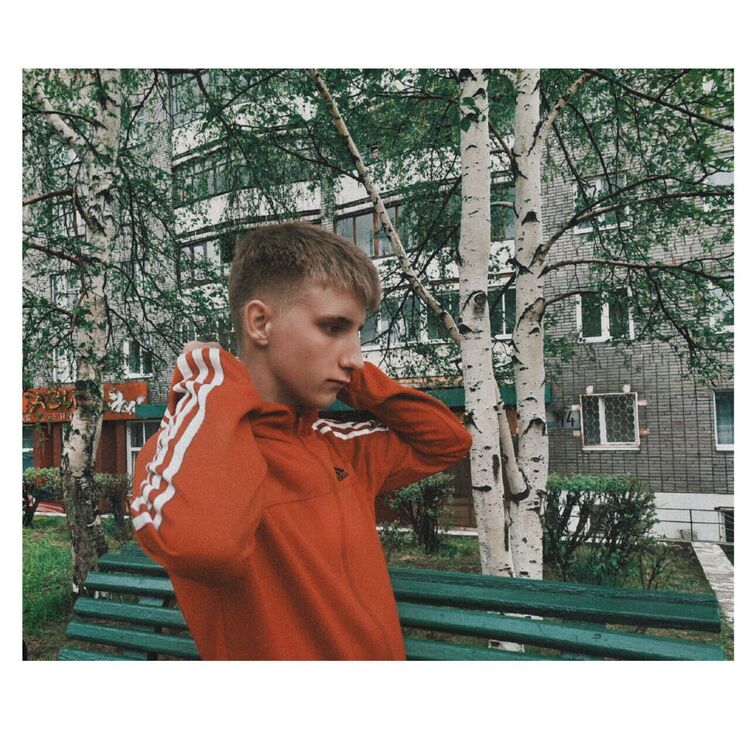  26072267  , 24 ,    -