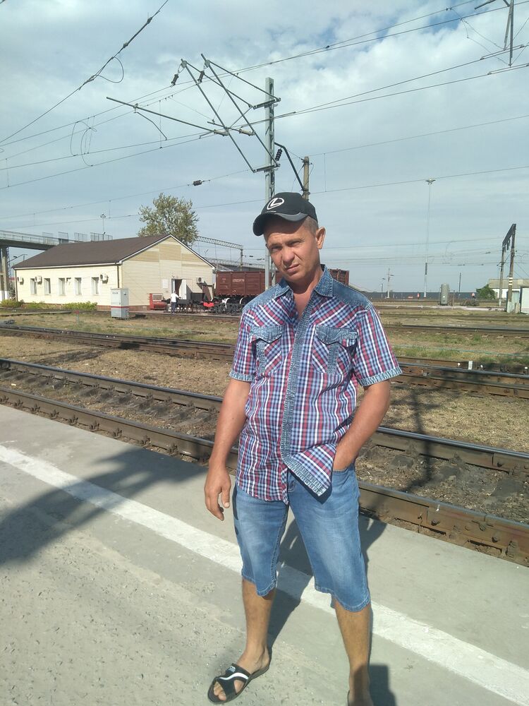  31337677  , 43 ,     