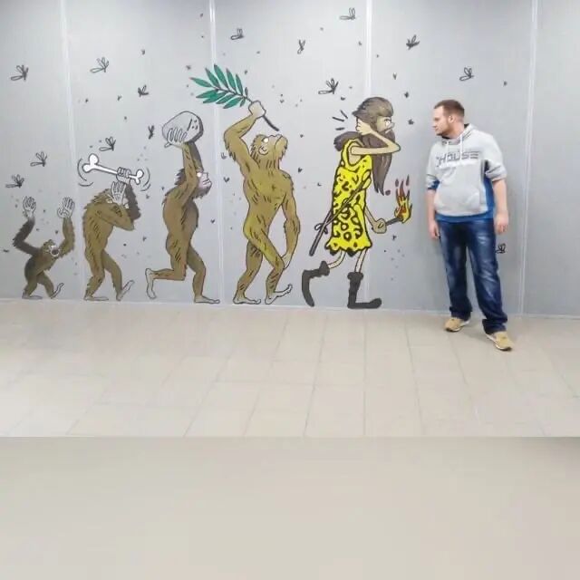  29494377  , 34 ,    -