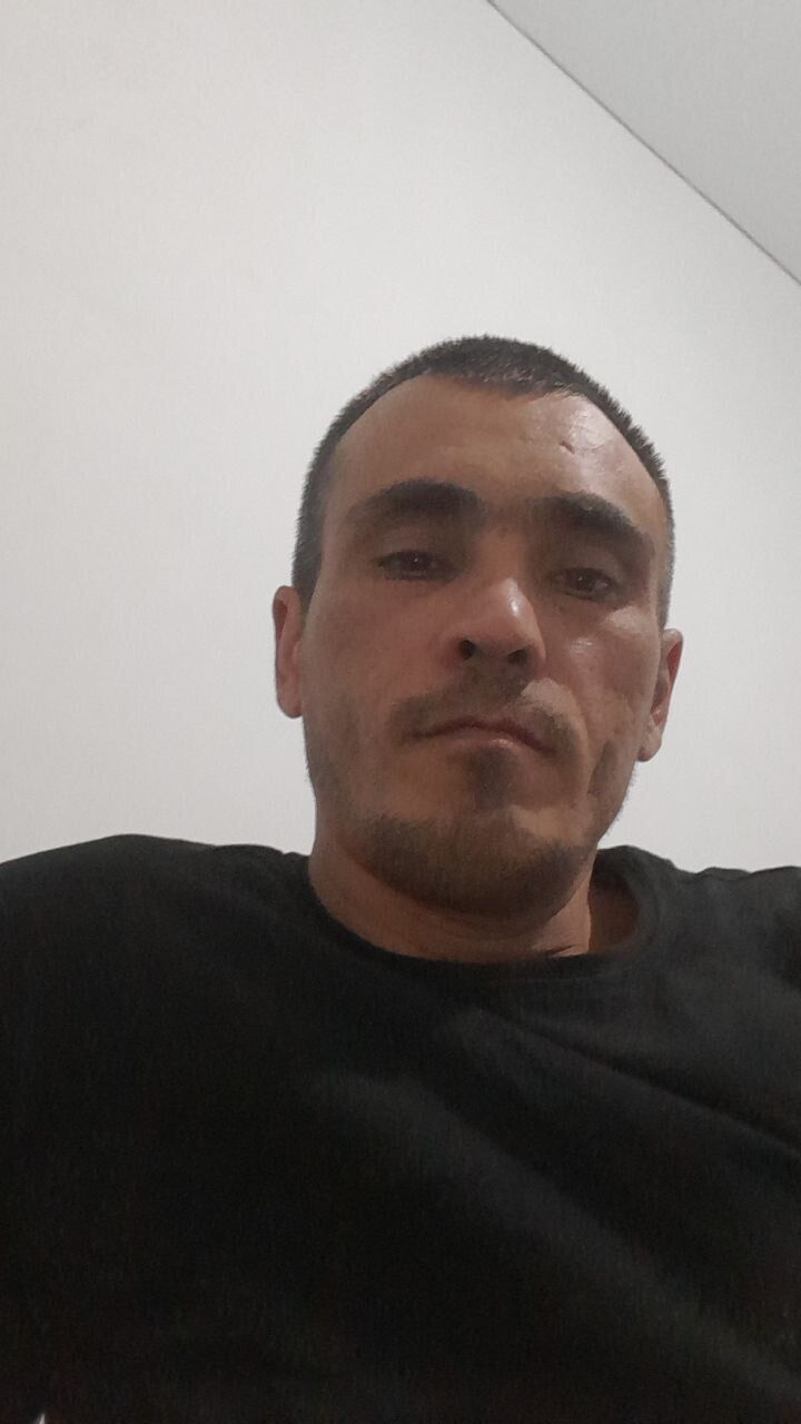  33909647  , 37 ,    