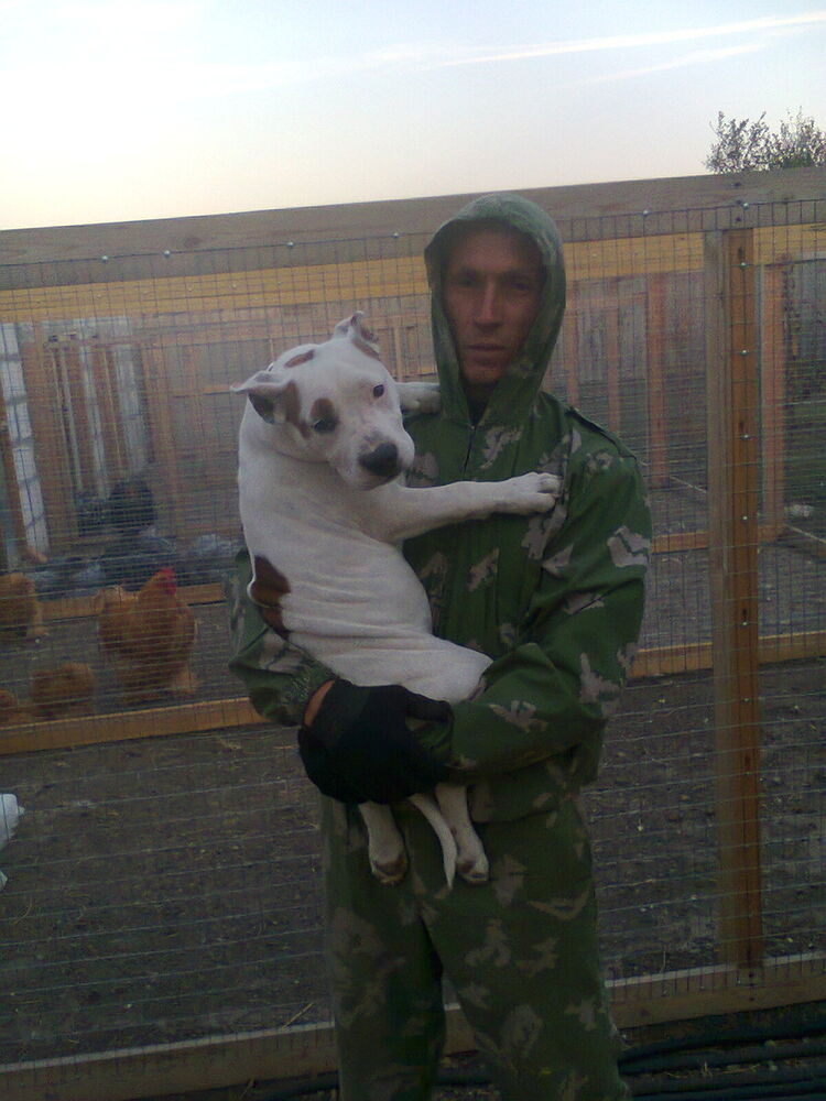 ���������� ����������, ���� ������� �����, 47 ���, ������������ ��� ������, ����� � ���������, c�������� ���������