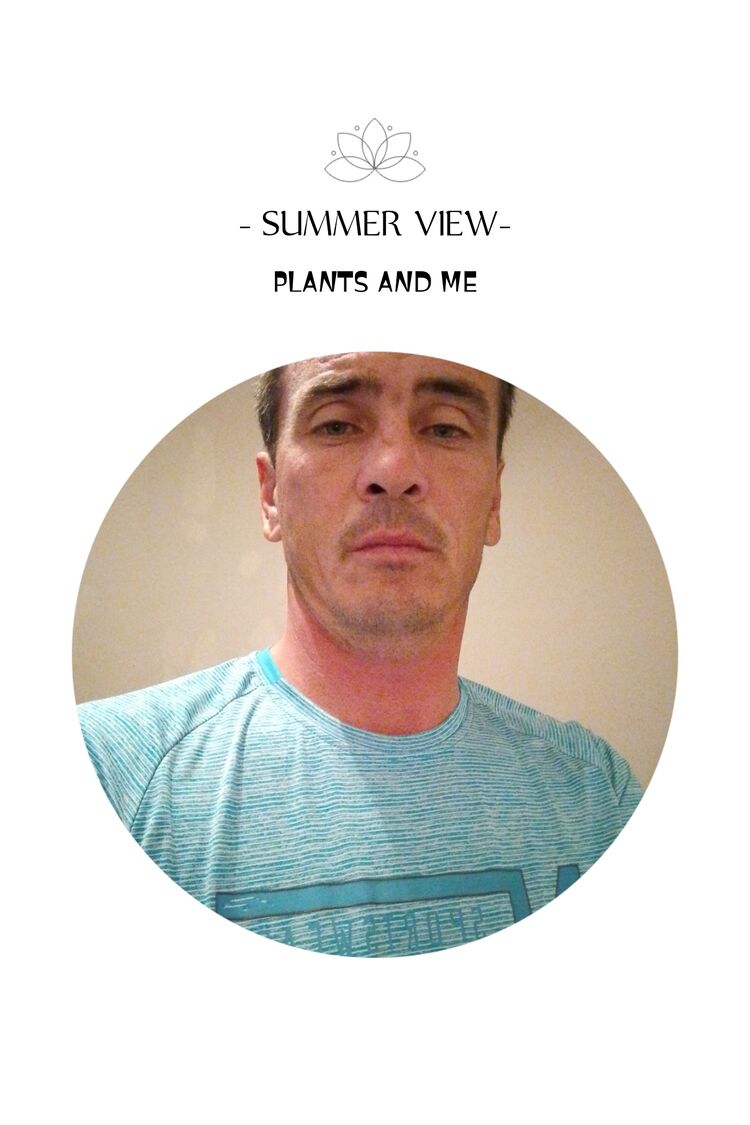 ���������� ������, ���� ������� ��������, 36 ���, ������������ ��� ������, ����� � ���������, c�������� ���������