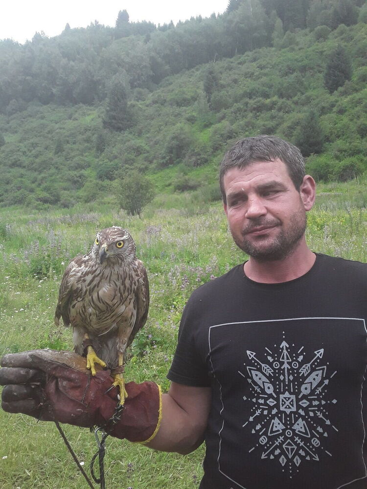 ���� 23671787 ������� �������, 41 ���, ���� ���������� � ������