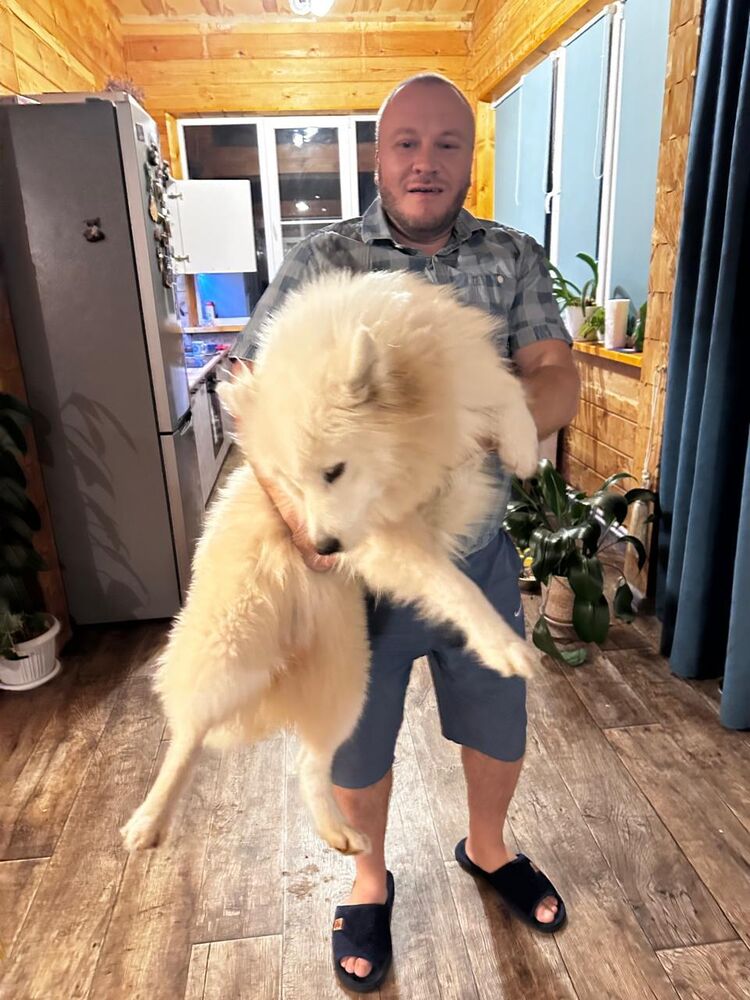 ���������� �����������, ���� ������� ������, 42 ����, ������������ ��� ������, ����� � ���������