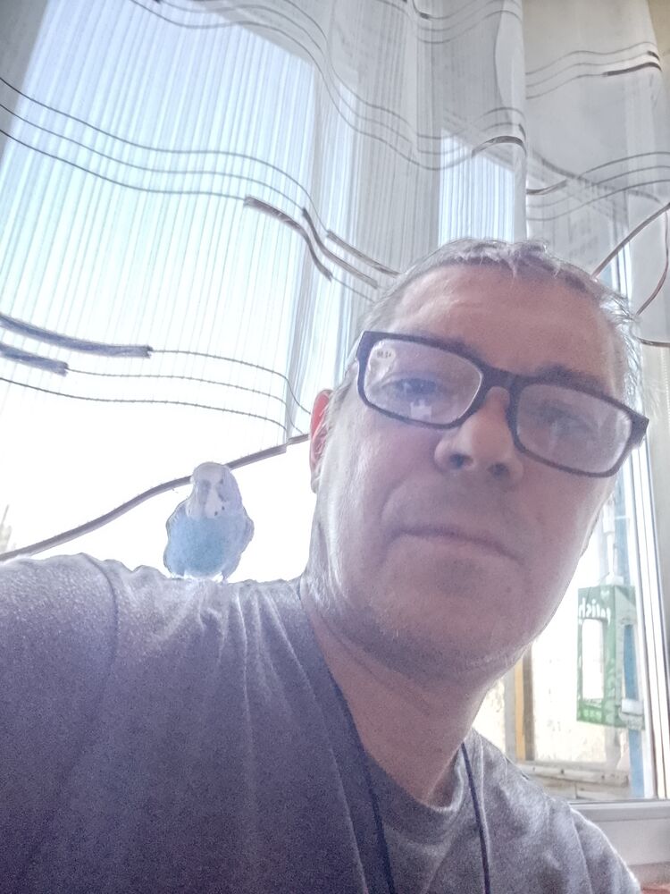  ,   , 46 ,     
