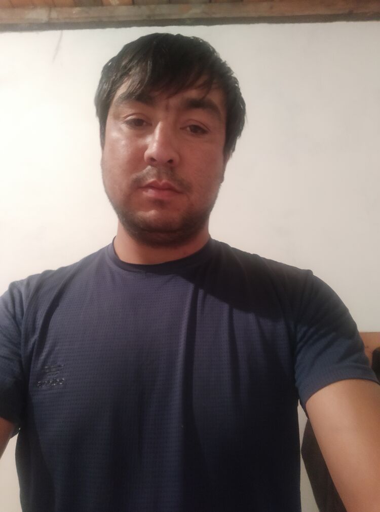  24440957  , 36 ,    