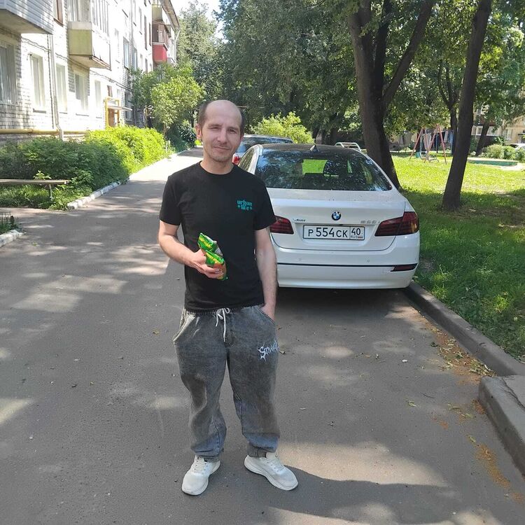  52545567  , 37 ,    