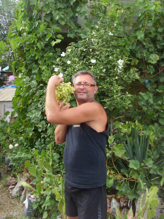  ,   , 55 ,   ,   