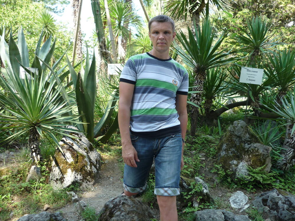 ���������� ������, ���� ������� ������, 48 ���, ������������ ��� ����� � ���������, c�������� ���������