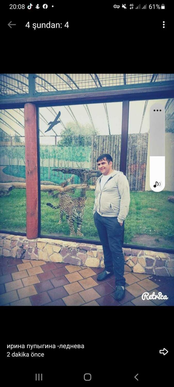 ���������� ������ ��������, ���� ������� ������, 38 ���, ������������ ��� ������, ����� � ���������