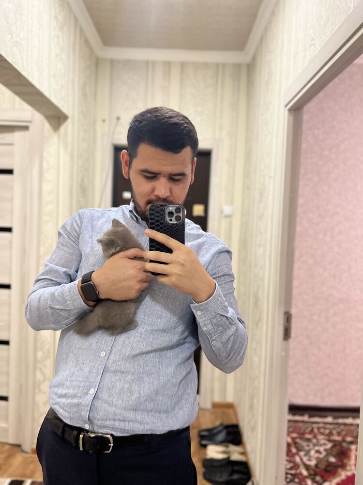  28844807  Bobur, 29 ,    