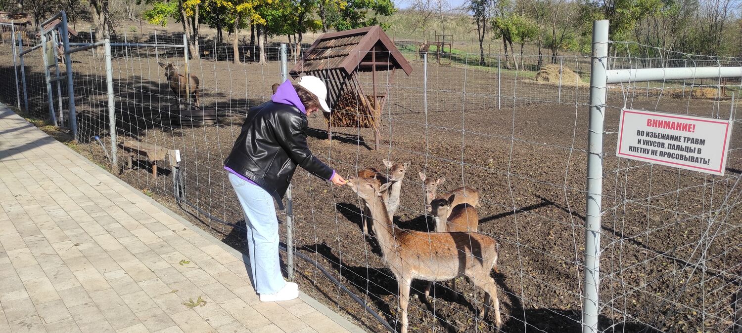 ���������� Ara, ���� ������� Olga, 34 ����, ������������ ��� ����� � ���������, c�������� ���������