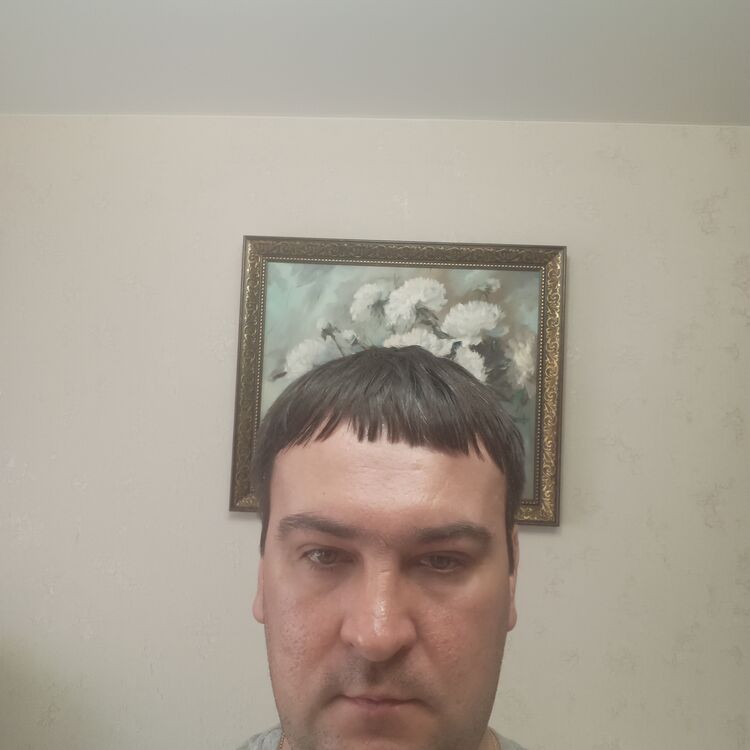 ���� 56209467 ������� �������, 34 ����, ���� ���������� � ��������