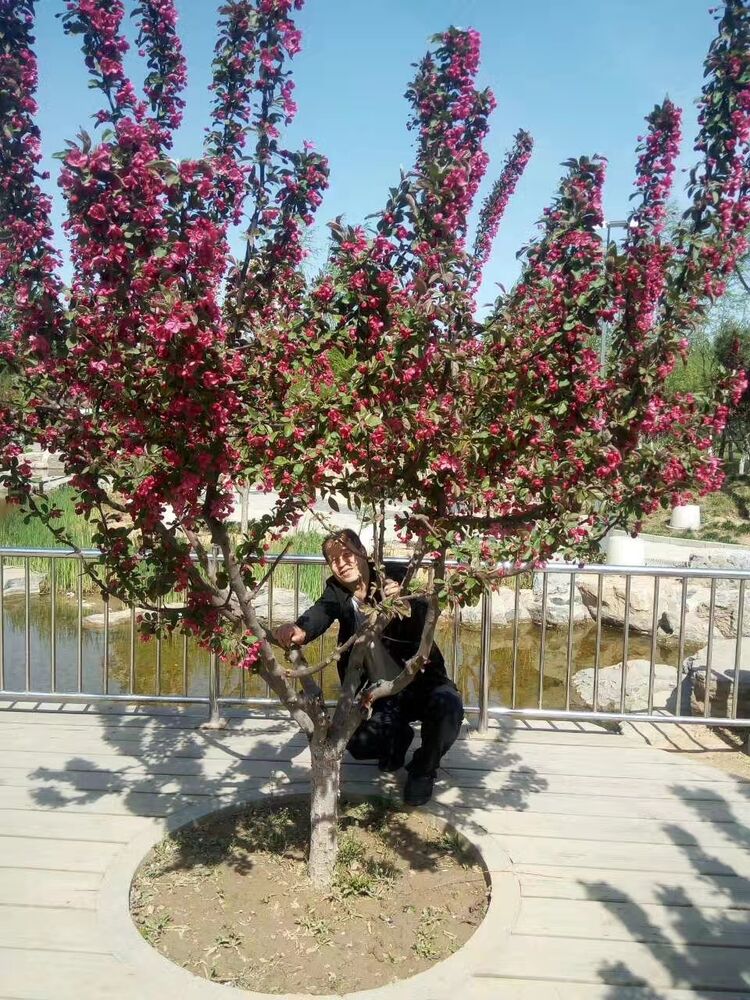  ,   , 50 ,   ,   
