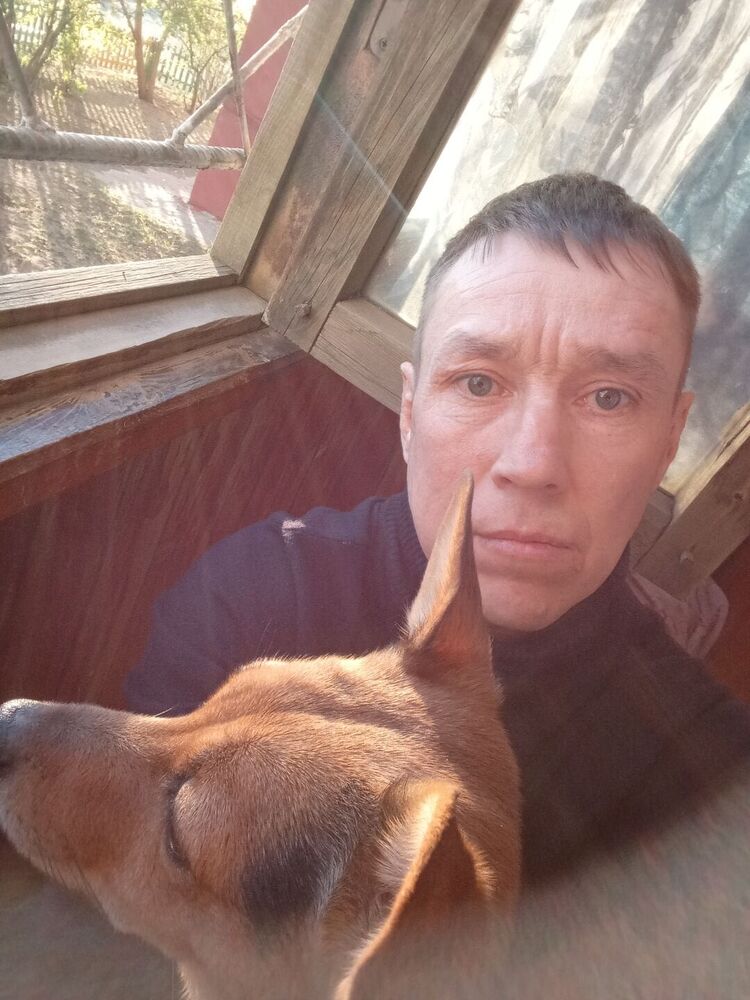 ���� 55462437 ������� �����, 41 ���, ���� ���������� � ����-���