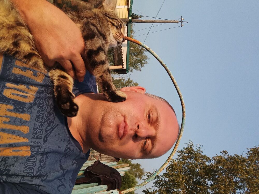  29443617  , 40 ,    