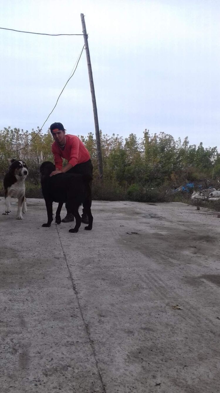  38807737  Ruslik, 29 ,    