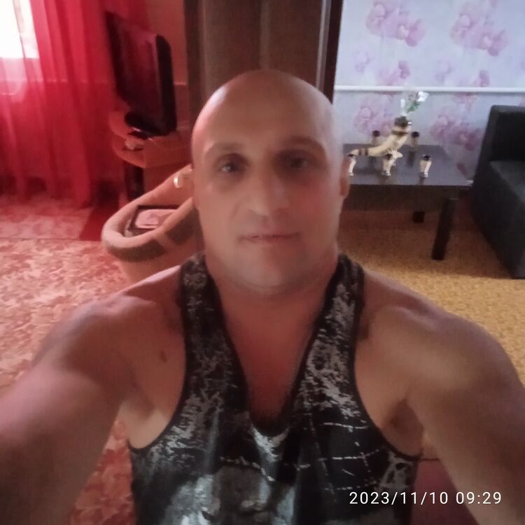  39279177  , 47 ,    