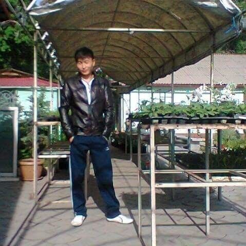  15327787  , 33 ,    