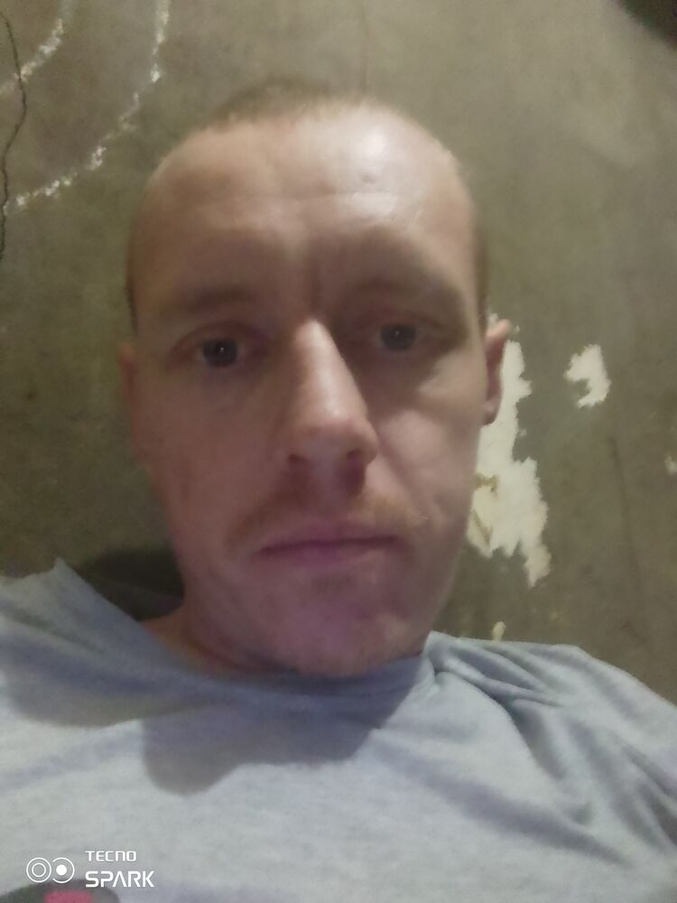  48641157  , 33 ,    