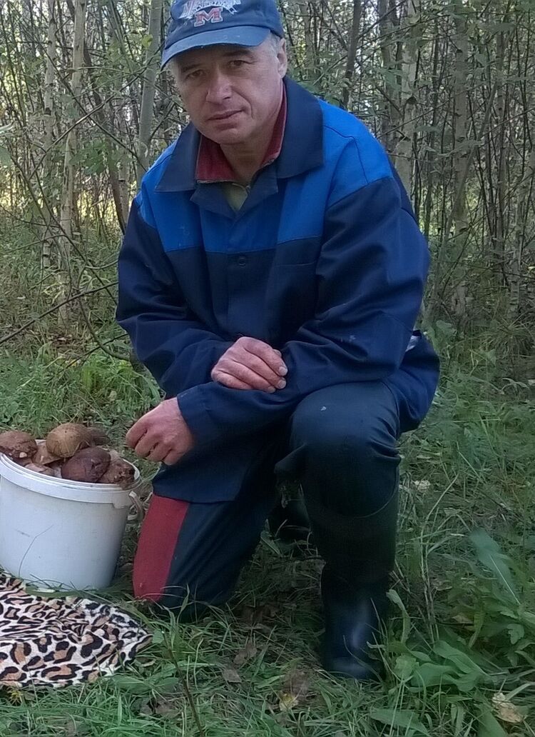 ���� 51977127 ������� ����, 64 ����, ���� ���������� � ��������