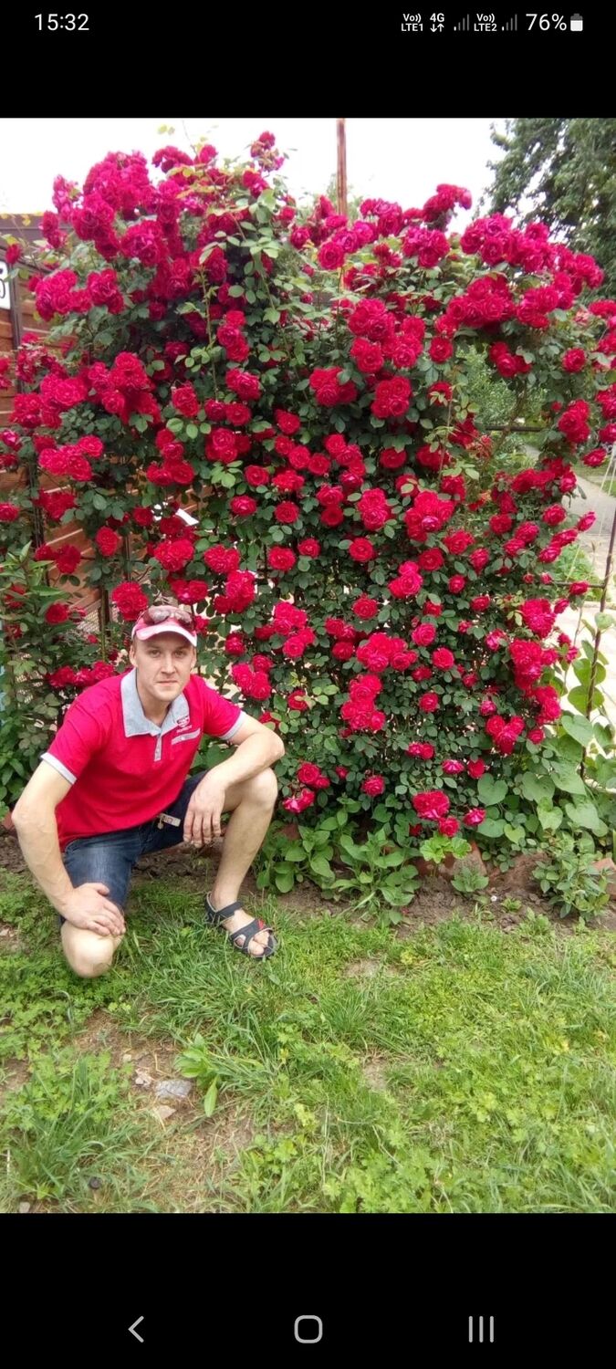 ���������� ���������, ���� ������� ����, 41 ���, ������������ ��� ������, ����� � ���������