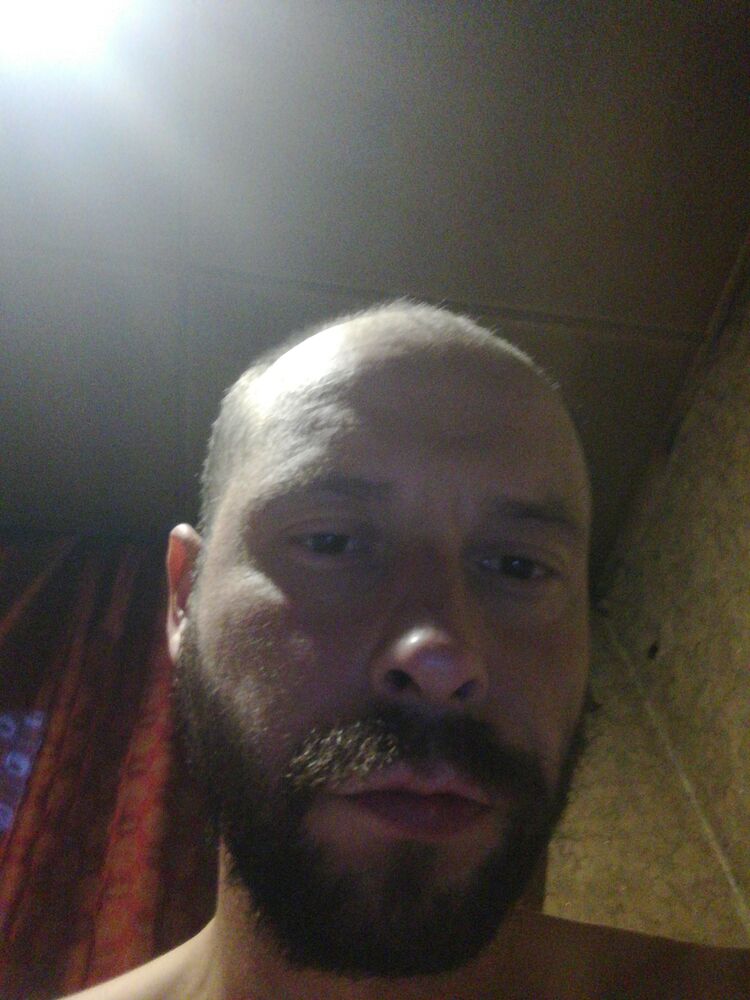  54031827  , 38 ,    