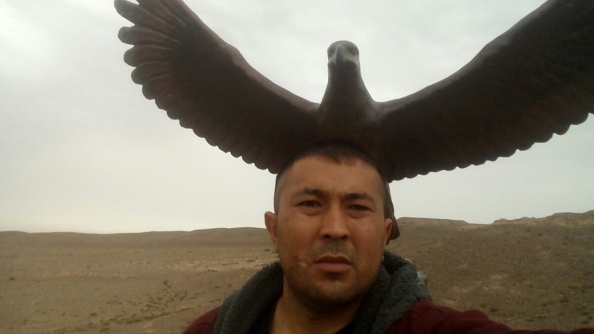  ,   , 41 ,   ,   , c , 