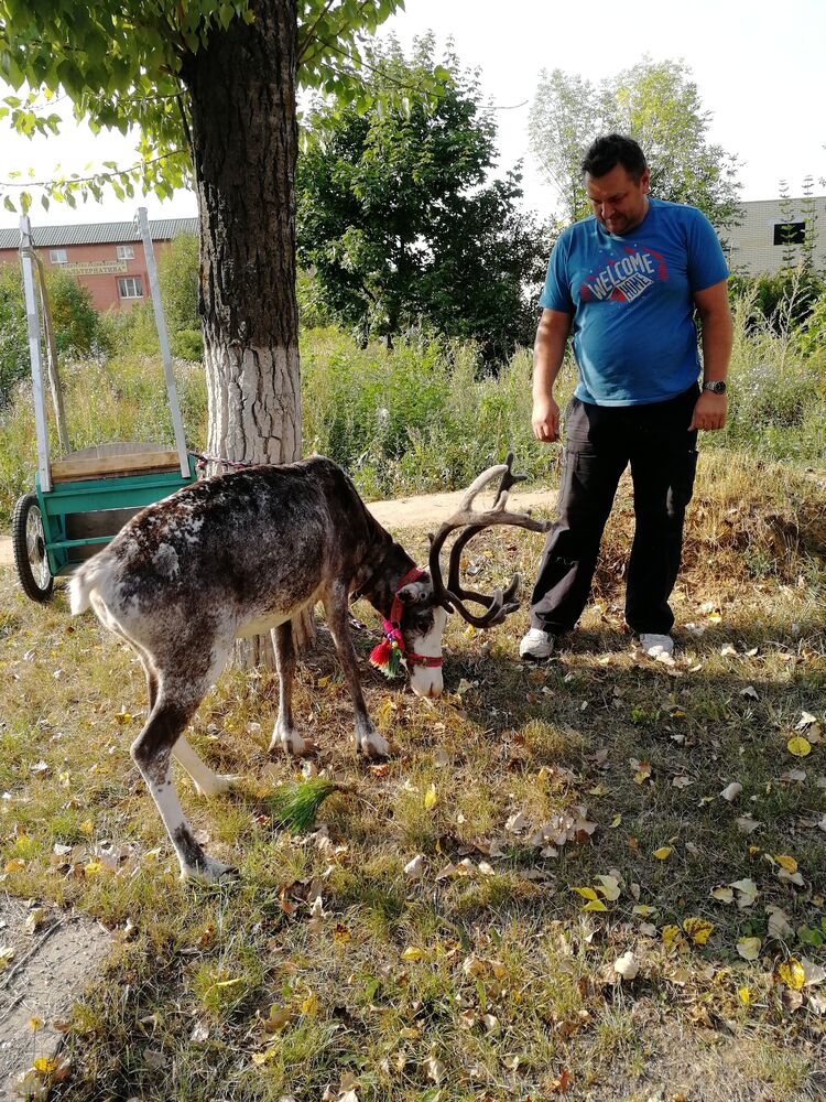 ���� 23675457 ������� ������, 57 ���, ���� ���������� � ������