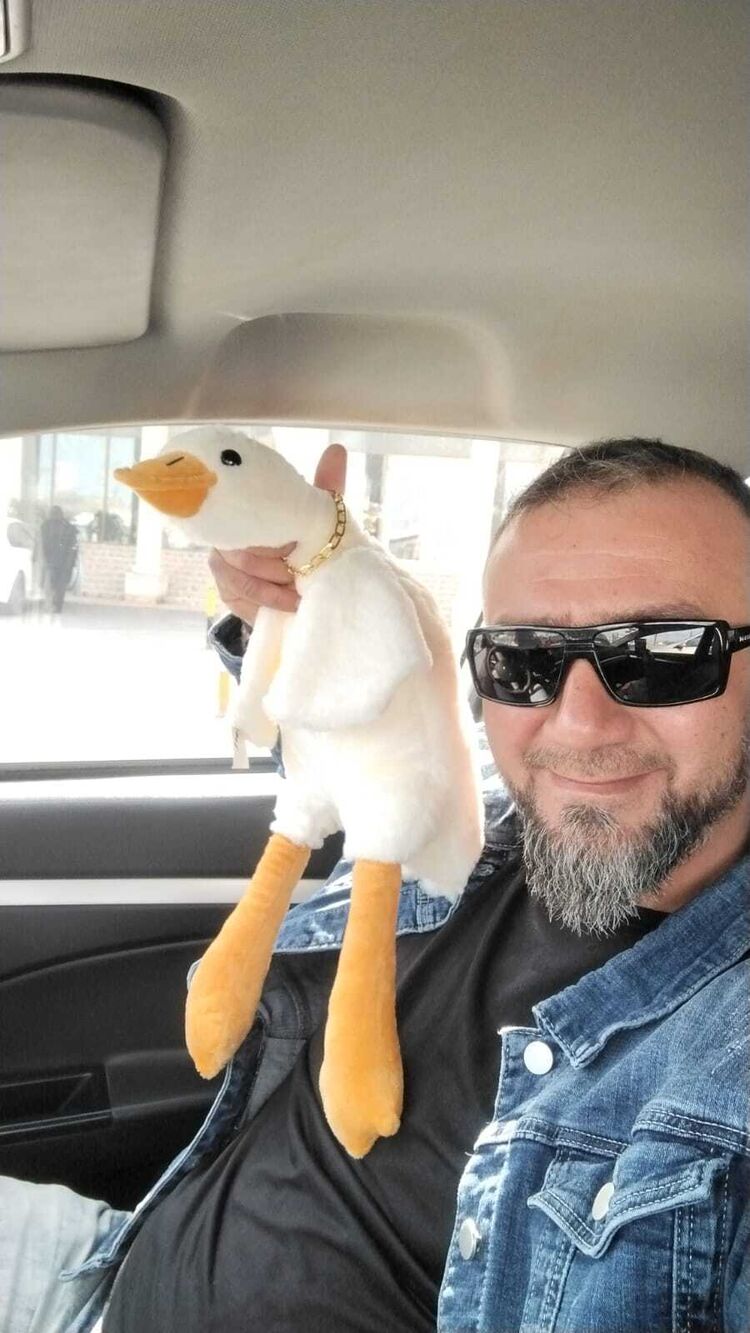  ,   , 43 ,   ,   