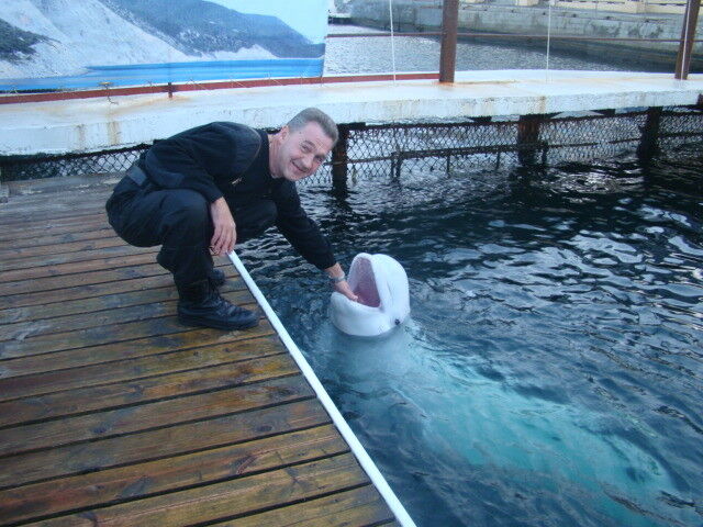 ���������� �����, ���� ������� PACIFICFROG, 61 ���, ������������ ��� ������, ����� � ���������, c�������� ���������