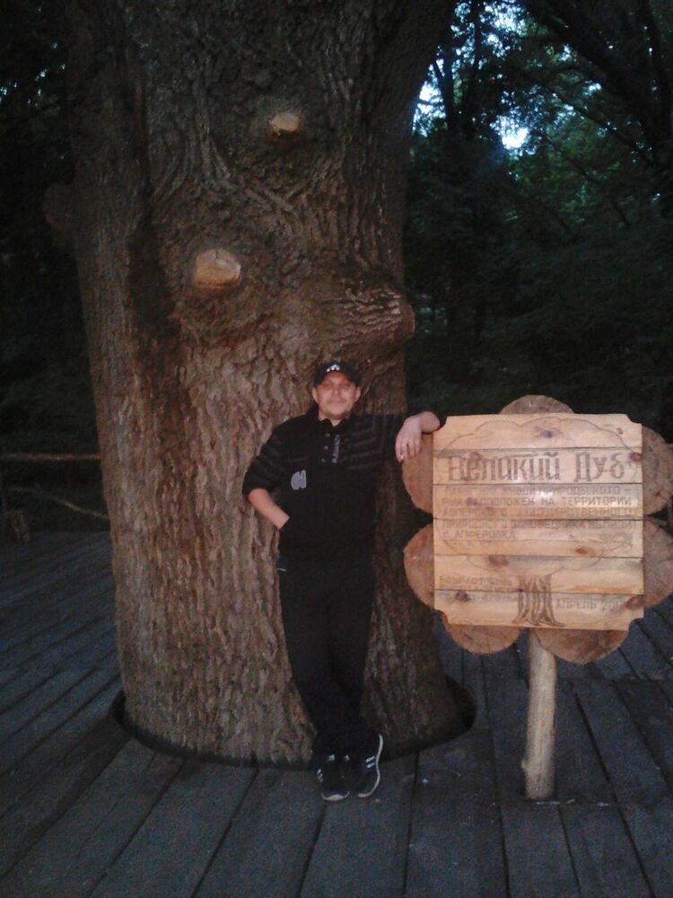 ���� 15918657 ������� ����, 43 ����, ���� ���������� � ������