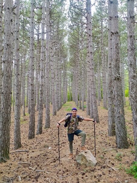 ���������� ����, ���� ������� ����, 37 ���, ������������ ��� ������, ����� � ���������