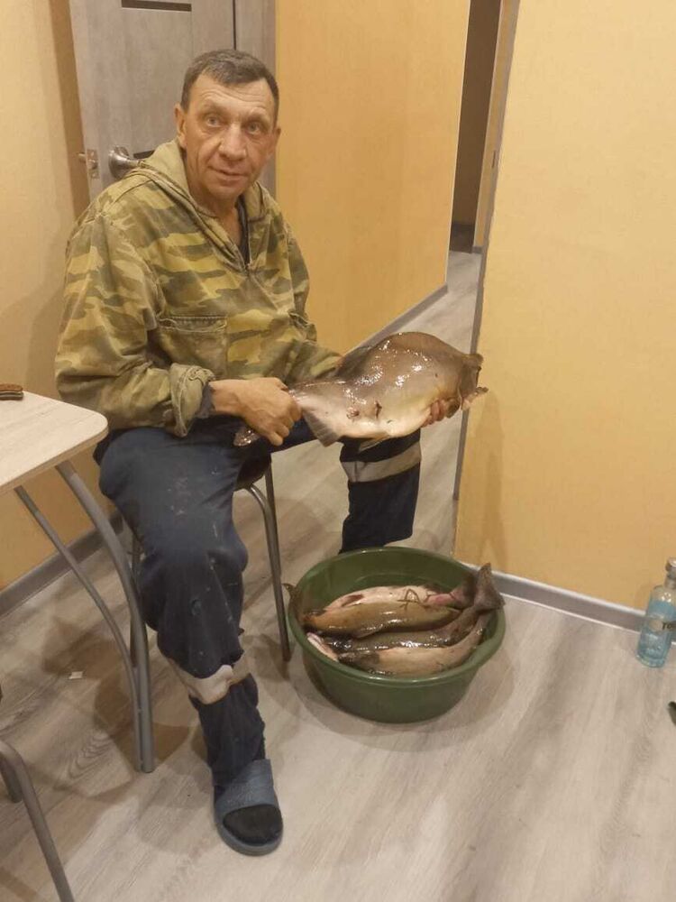 ���������� ���������, ���� ������� Ը���, 49 ���, ������������ ��� ������, ����� � ���������, c�������� ���������