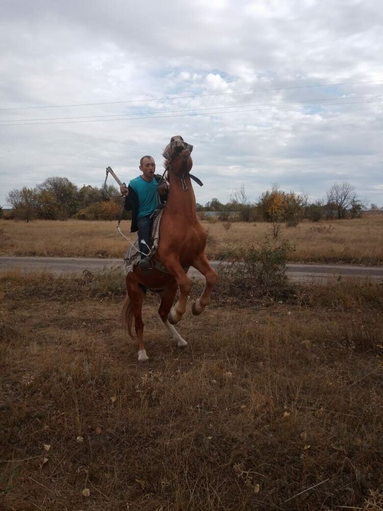  27325607  , 45 ,    --