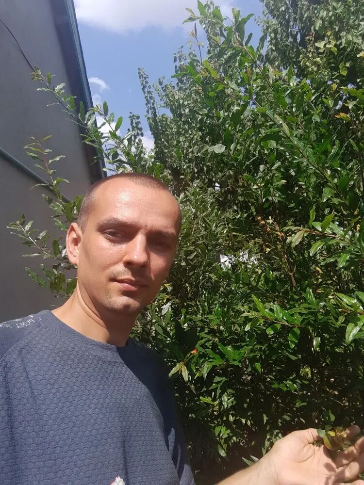  41611777  , 37 ,    